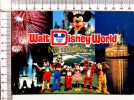 WALT DISNEY WORLD -   Welcome To Our World - Disneyworld