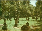 ILE DU SALUT - Cimetière Des Gardiens à L'Ile St-Joseph - Sonstige & Ohne Zuordnung