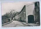 COLLOBRIERES - AVENUE JEAN AICAUD - Collobrieres