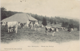 CPA BALLAIGUES - CHALET DES CERNYS - VACHES - Ballaigues