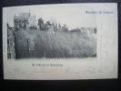 DOLHAIN - Château De Limbourg  - 1901 - Envoyée - NELS - Précurseur- Lot AM11 - Limbourg