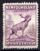 NEWFOUNDLAND TERRANOVA – 1932 YT 175(B) USED - 1908-1947