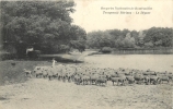 78 RAMBOUILLET BERGERIES NATIONALES TROUPEAUX MERINOS LE DEPART - Rambouillet