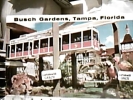 USA  FLORIDA - TAMPA - Busch Gardens Skyrail Safari - Monorotaia TRENO  TRAIN  SOSPESO VB1975  DO4115 - Tampa