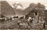 Auf Der Alp (postée A Zweisimmen 1938 - Zweisimmen