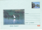 Birds Of The Danube Delta PELICAN, STARC,2002 COVER STATIONERY ENTIER POSTAL,UNUSED ROMANIA - Pelícanos