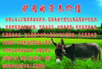 SA06- 093    @  Anes Esel  Donkey Burros Y Asnos ,    ( Postal Stationery , Articles Postaux ,  Postsache F ) - Donkeys