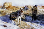 SA06- 097    @    Anes Esel  Donkey Burros Y Asnos ,    ( Postal Stationery , Articles Postaux ,  Postsache F ) - Donkeys