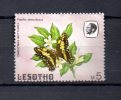 Lesotho   1984  .-   Y&T  Nº   576 - Lesotho (1966-...)
