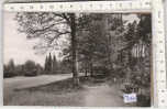 PO1349B# GERMANIA - GERMANY - OELDE - STADTPARK  No VG - Warendorf