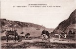 Delcampe - SAINT-BRIEUC CALE DE HALAGE ET ENTREE DU PORT COTE BASSIN ANIMEE ANES 22 - Saint-Brieuc