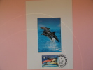 CARTE MAXIMUM MAXIMUM CARD DAUPHIN NOUVELLE CALEDONIE - Dolphins