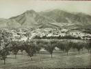 66 - PRADES Et Le CANIGOU - Vue Générale. (CPSM) - Prades