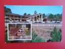 Estes Park Co.  Twin Owls Motor Lodge  Early Chrome   ---   -ref 364 - Andere & Zonder Classificatie