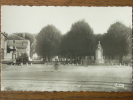 01 - PONT De VAUX - Promenade Des Champs-Elysées - Buste De CHAINTREUIL . (CPSM) - Pont-de-Vaux