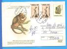 Alexander Von Humboldt Huge Monkey ROMANIA Postal Stationery Cover 2003 - Gorilles