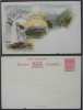 NOUVELLE ZELANDE - NEW ZEALAND - QV - EAU - WATER  / ENTIER POSTAL ILLUSTRE  (ref 2103) - Briefe U. Dokumente