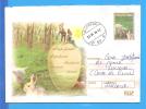 Easter, Rabbit, Dwarf. ROMANIA Postal Stationery Cover 2004 - Pasen