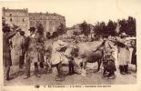 En Limousin A La Foire Conclusion D'un Marché (boeufs) - Limousin
