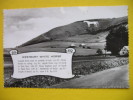 WESTBURY WHITE HORSE - Other & Unclassified