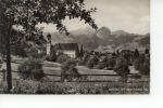 Sachseln Mit Giswilerstock 1951 - Giswil