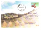 Romania / Postal Stationery / - Easter