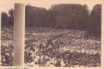 LES HERBIERS SOUVENIR DU PELERINAGE EUCHARISTIQUE 4 AOUT 1936 LA FOULE PENDANT LA MESSE - Les Herbiers