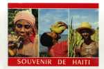 - ANTILLES . HAÏTI . TYPES HAÏTIENS - Haïti