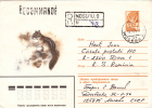 SQUIRREL, 1979, POSTAL STATIONERY, ENTIER POSTAL, RUSSIA - Rongeurs