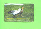 FALKLAND ISLANDS - Magnetic Phonecard As Scan - Falkland Islands