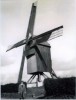 OOSTERZELE (O.Vl.) - Molen/moulin - Prentkaart Van De Verdwenen Houten Vinkemolen Voor Zijn Instorting. Oudere Opname! - Oosterzele