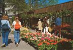 Cp , COMMERCE , Marché , AMSTERDAM , Bloemenmarkt , Marché Aux Fleurs , Ed : Sleding , N° 935.234 - Marchés