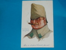 Illustrateurs) Dupuis - Leurs Caboches N° 27  - Officier De Chasseurs Laudwehr  Allemand - Année 1914  - EDIT - Color - Dupuis, Emile