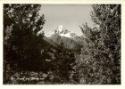 Zernez - Blick Auf Piz Linard            Ca. 1950 - Zernez