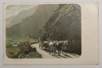 CPA  Suisse -  Alpenpost - Circulé Castasegna Grigione 1905 - GR Grisons