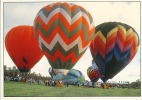 Hot Air Balloon Regetta, Barossa Valley, South Australia - Montgolfières