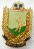 Pin´s Badge Pin Golf Marion Roth - Golf