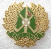 Pin´s Badge Pin Golf Club.superbe Egf - Golf