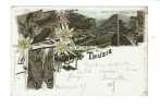 Gruss Aus Thusis (litho) - Thusis