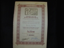 Action " Ateliers Du Pieton Pietoco " Trazegnies 1951 Bon état,reste Des Coupons - Industrial