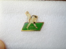 Pin´s Judo Saint Nicolas - Judo