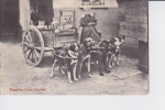 CPA 1913  :  Bruxelles : Laitières Flamandes , Attelage De 5 Chiens - Old Professions