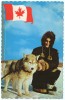 CANADA-ROYAL CANADIAN MOUNTED POLICE CONSTABLE CHECKING HARNESS ON LEAD DOG / HUSKY - Modern Cards