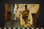 06- VENCE  RUE PITTORESQUE - Vence