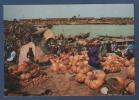 MALI - CP ANIMEE MARCHE DE MOPTI - MARKET AT MOPTI - IRIS N° 7399 - A D P - CLICHE RENAUDEAU - 1979 - Mali