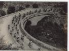 P 503 -T D F - 1953 - Dans L'étape Béziers Nimes Voici Le Peloton Dans Le Pittoresque Montée D'arboras - - Radsport