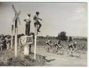 P 507 -T D F - 1953 - 14 Em étape Béziers - Nimes -  Nolten, Le Quilly  Et Quennehem  Encouragés Par Des Admirateurs - - Ciclismo