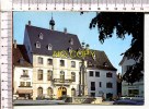 ALTKIRCH - La Fontaine, La Mairie Et Le Musée - Altkirch