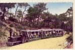 33....Le Cap Ferret.....Train Forestier - Andere & Zonder Classificatie