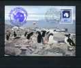 - ALLEMAGNE . CP  EXPEDITION ANTARCTIQUE 1981/82 . STATION NEUMAYER - Antarctische Fauna